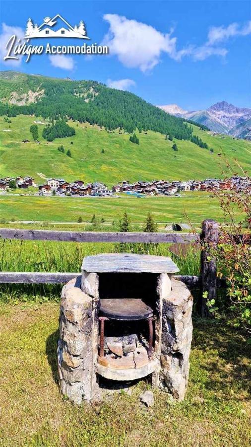 Chalet Rododendro Forest By Livigno Accomodation Zewnętrze zdjęcie
